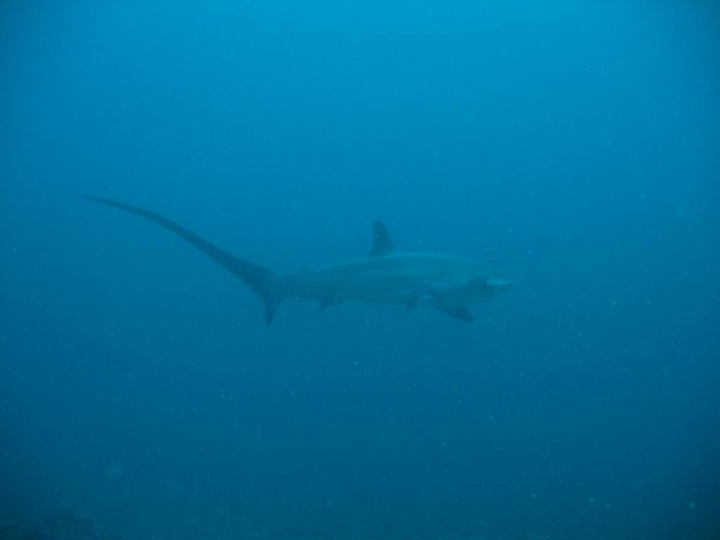IMG_8163.JPG