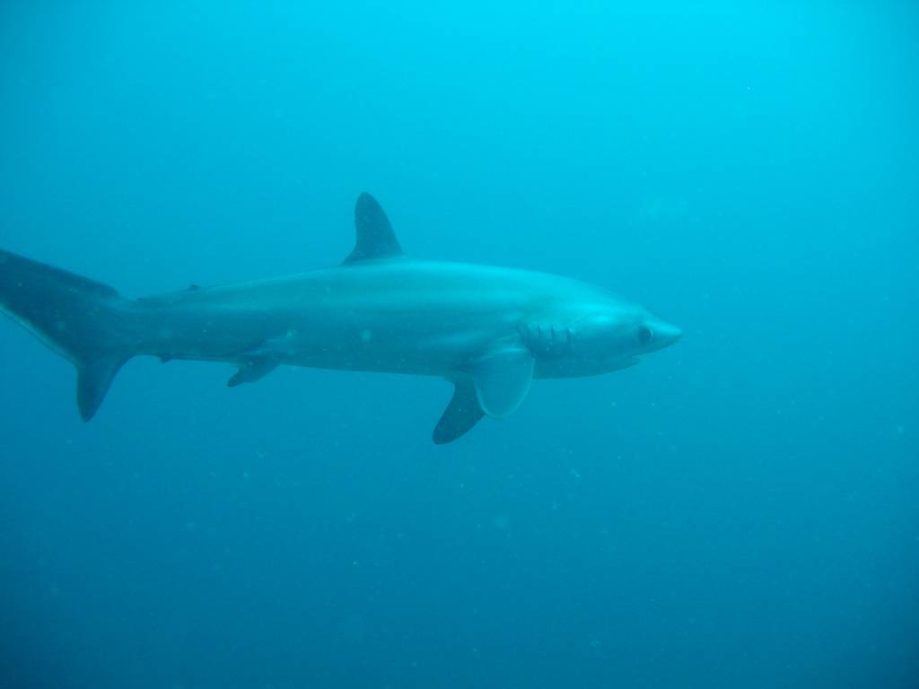 IMG_8164.JPG
