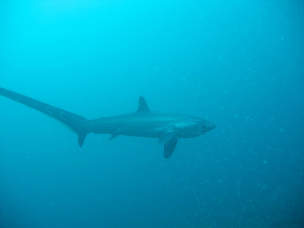 IMG_8166.JPG