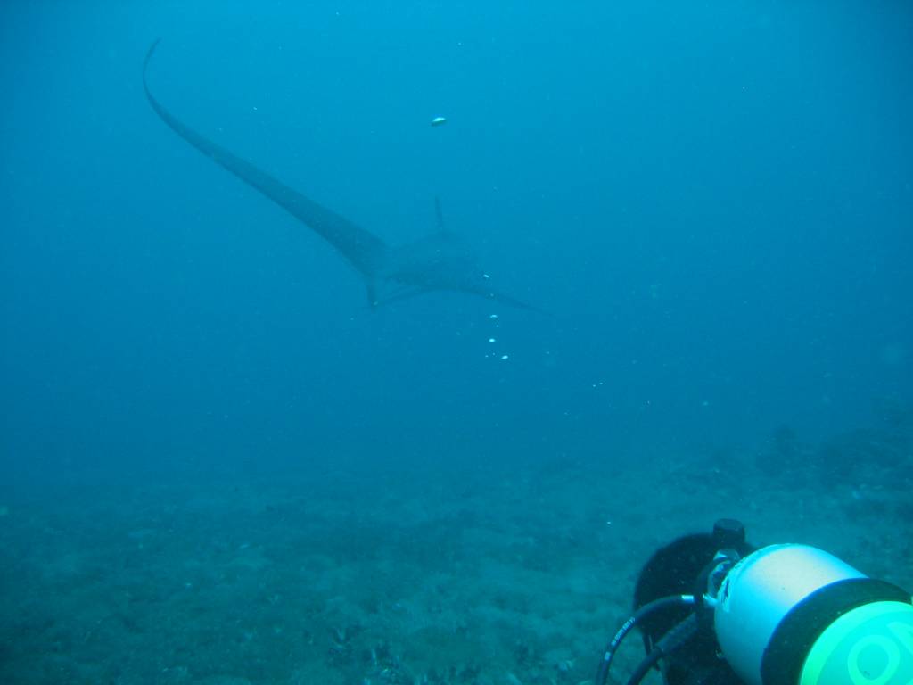 IMG_8168.JPG