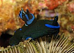 IMG_1686_cr_cr.jpg