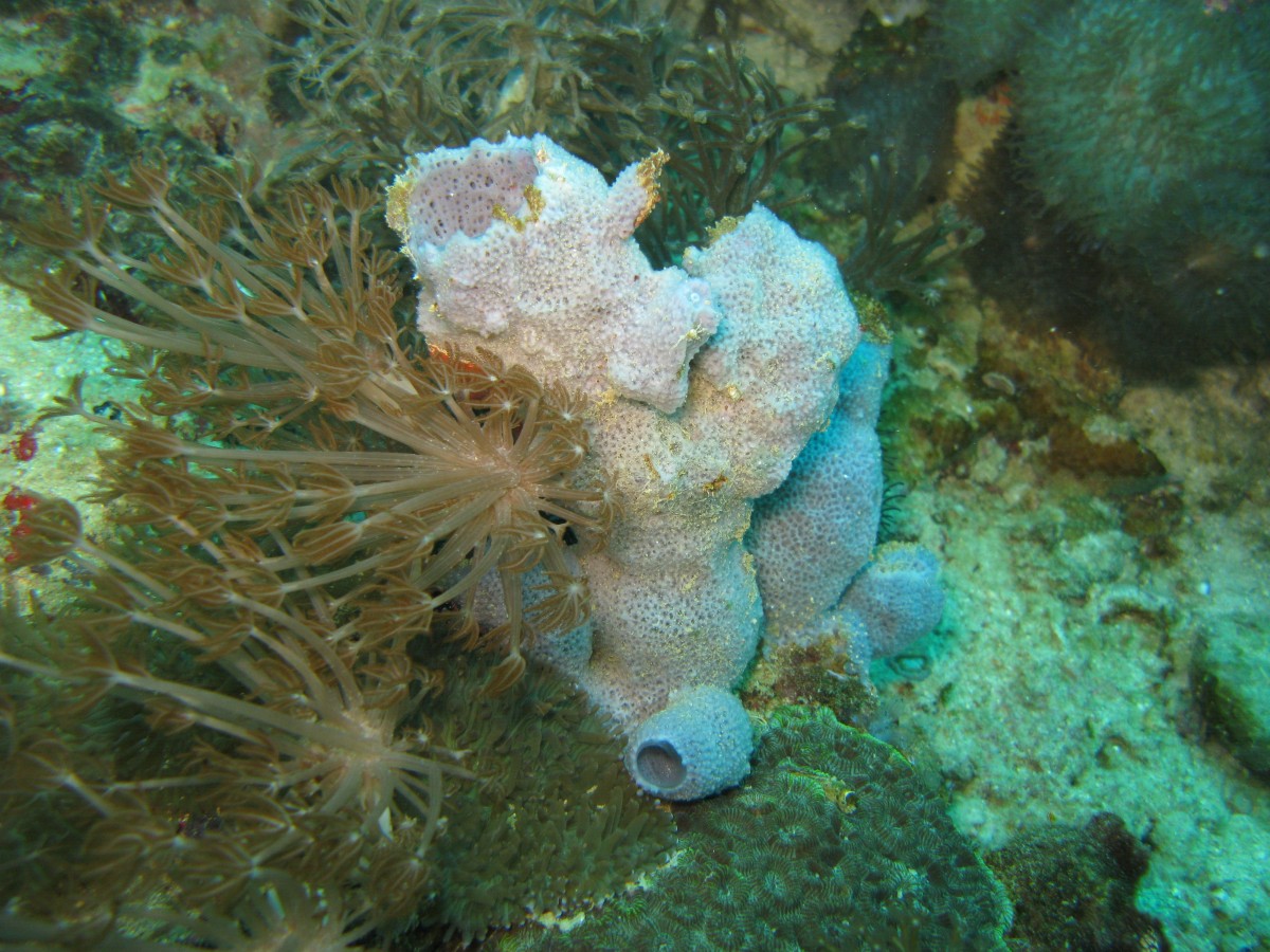 IMG_1862.jpg