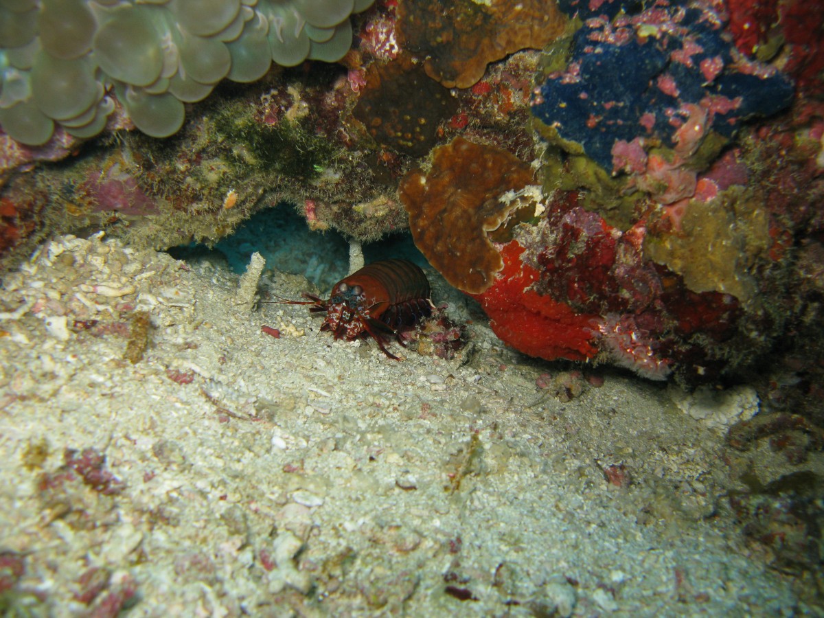 IMG_2292.jpg