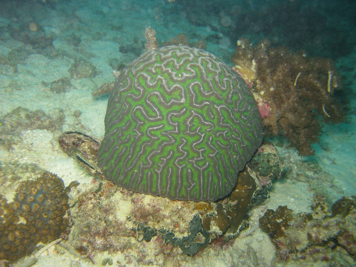 IMG_2348.jpg