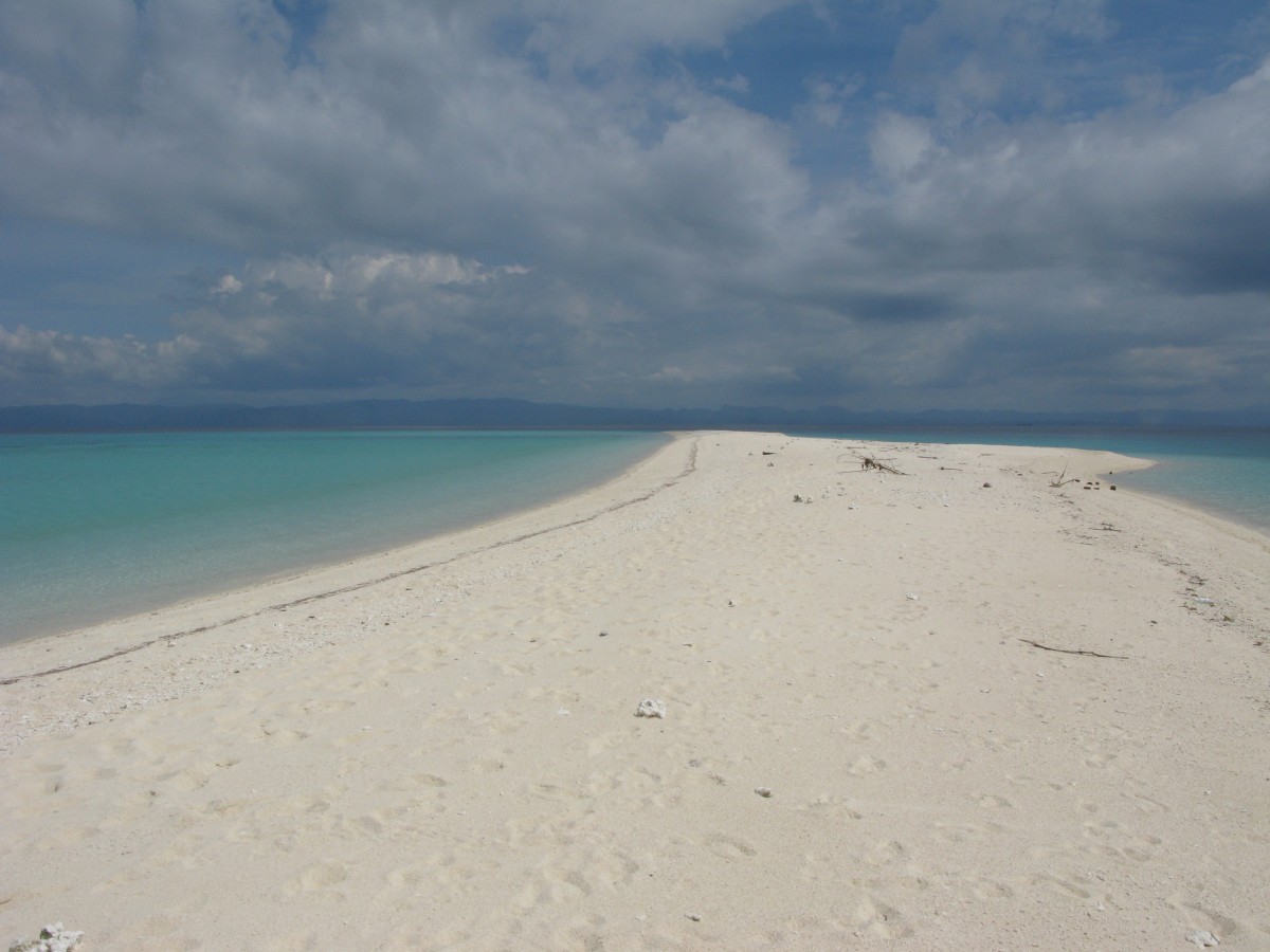 IMG_2669.jpg