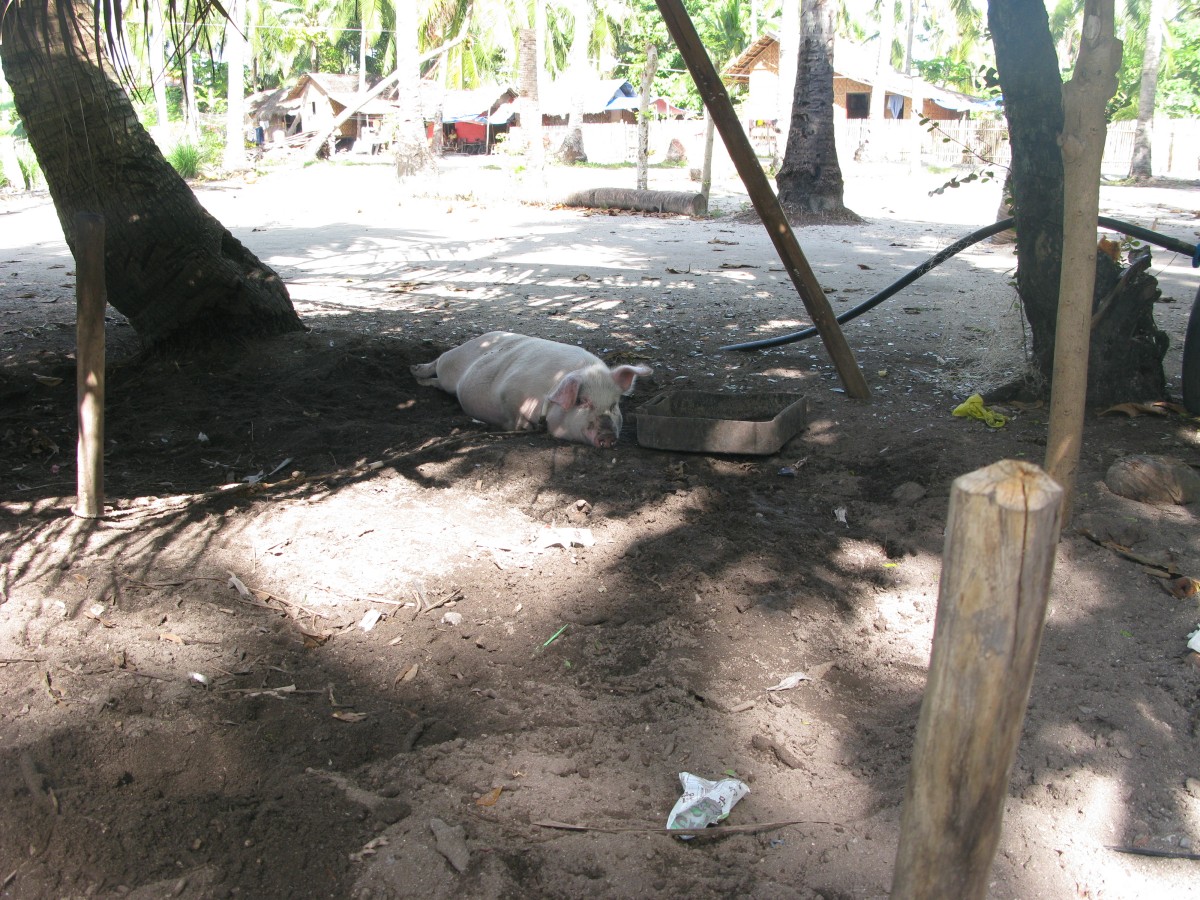 IMG_2811.jpg