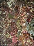 IMG_2091.jpg IMG_2091.jpg