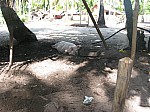 IMG_2811.jpg IMG_2811.jpg