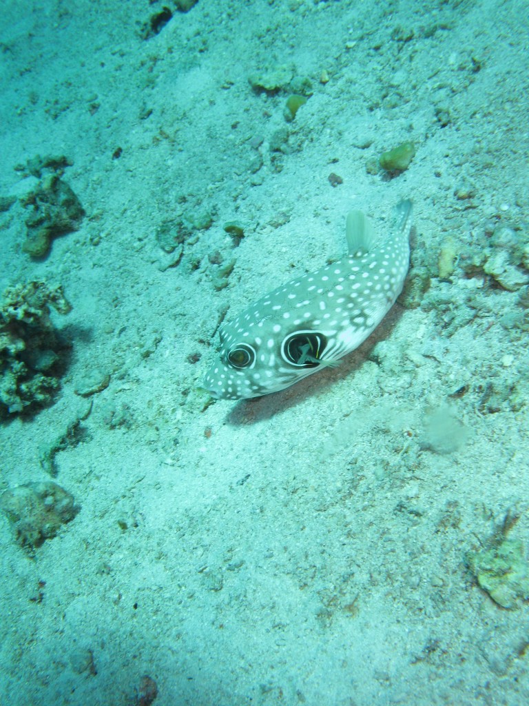 IMG_1240.jpg