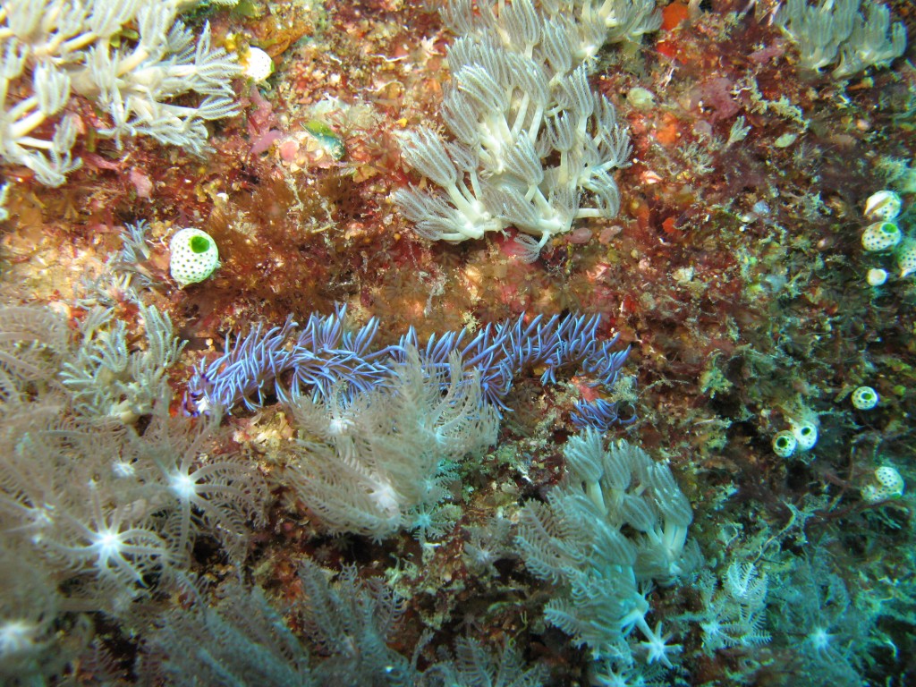 IMG_1482.jpg