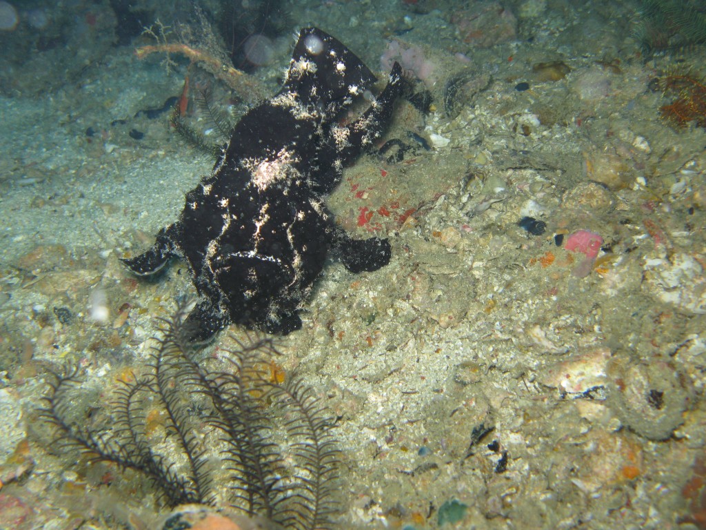 IMG_1594.jpg