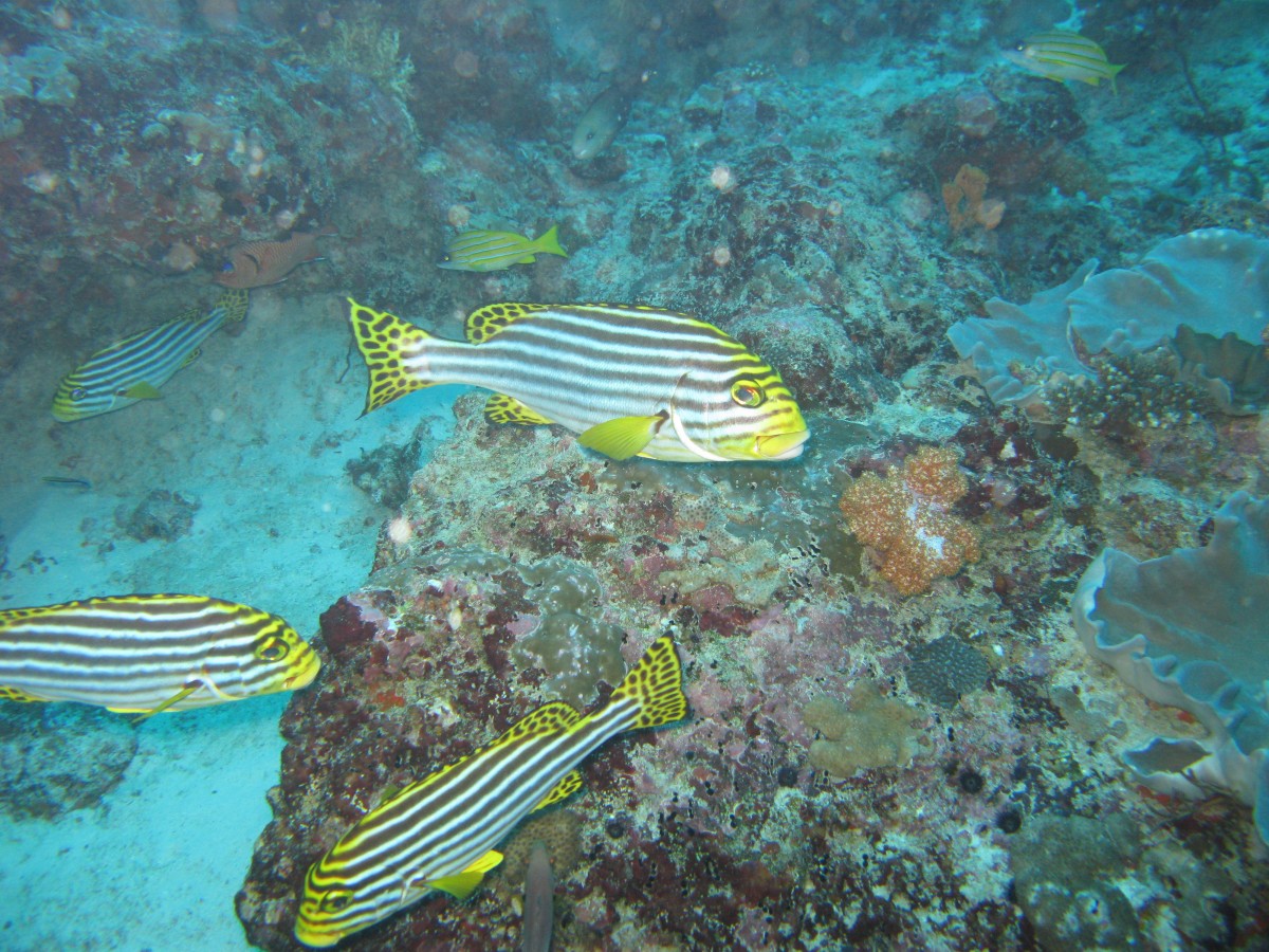 IMG_1378.jpg