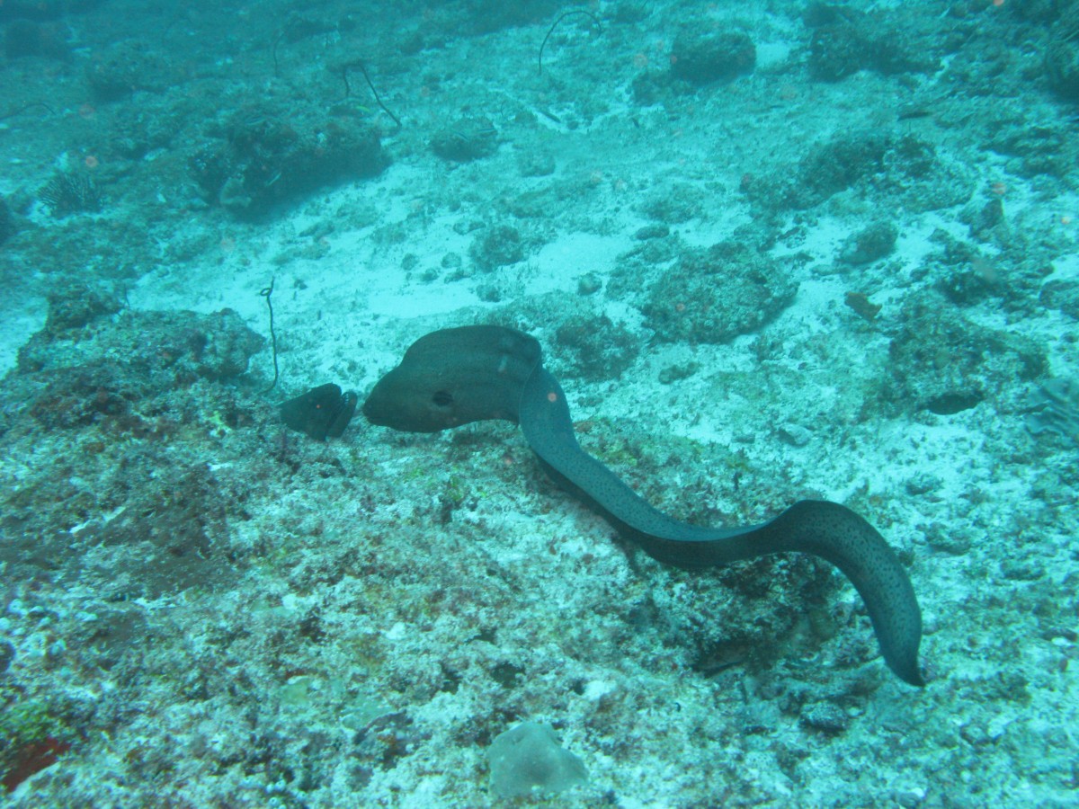 IMG_1418.jpg
