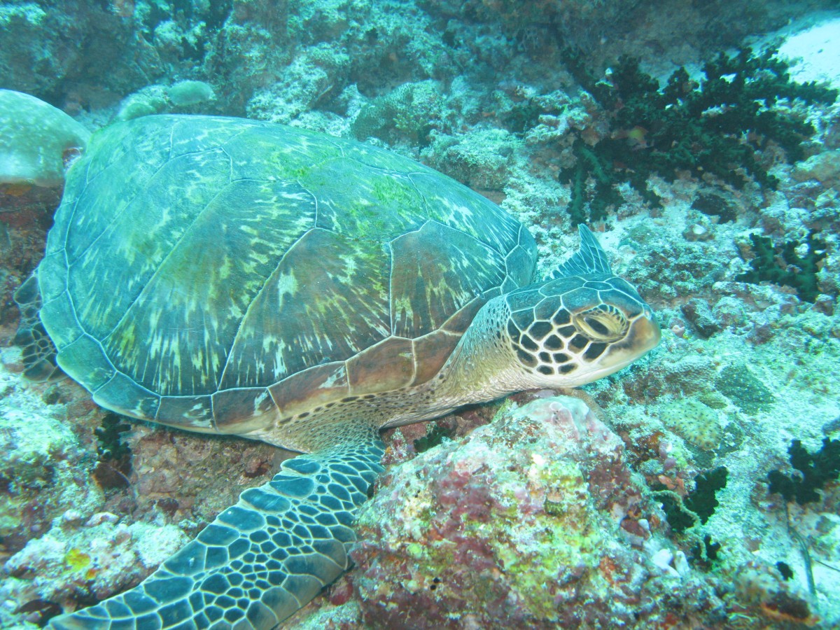 IMG_1892.jpg