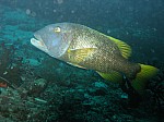 IMG_1776.jpg