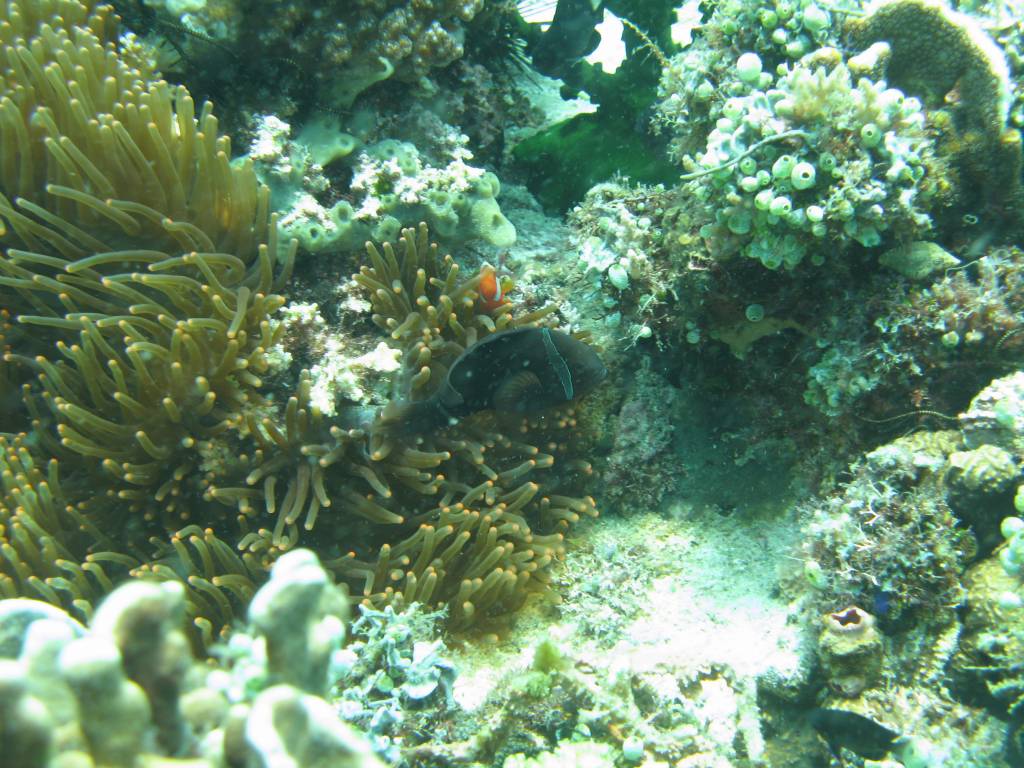 IMG_0518.jpg