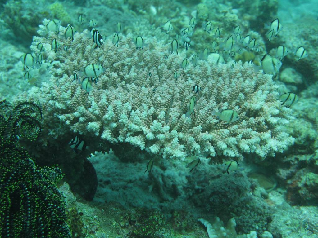 IMG_0533.jpg