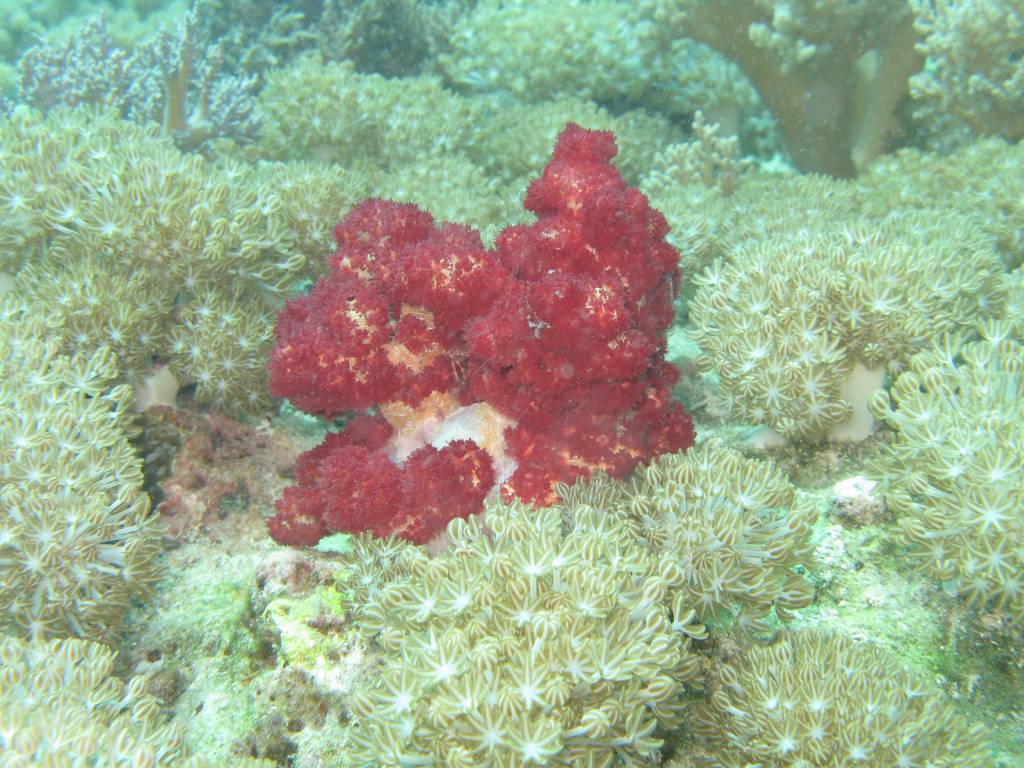 IMG_0543.jpg