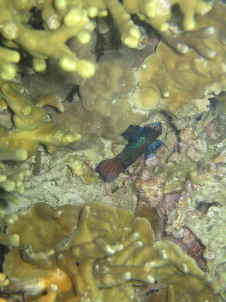 IMG_0556.jpg