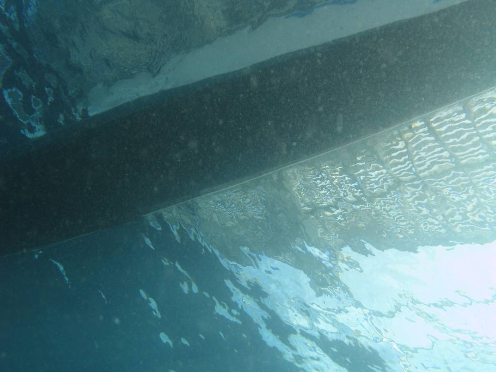 IMG_0605.jpg