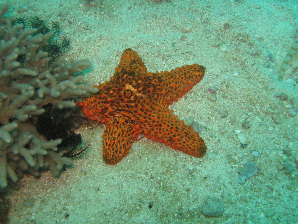 IMG_0752.jpg