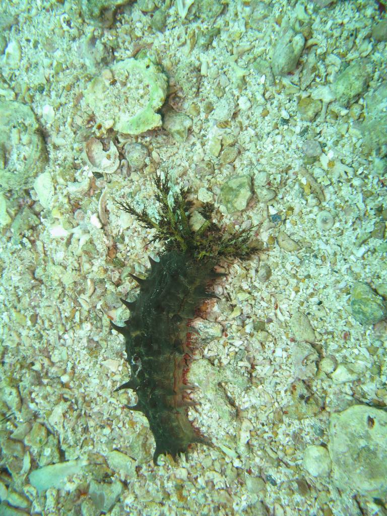 IMG_0776.jpg
