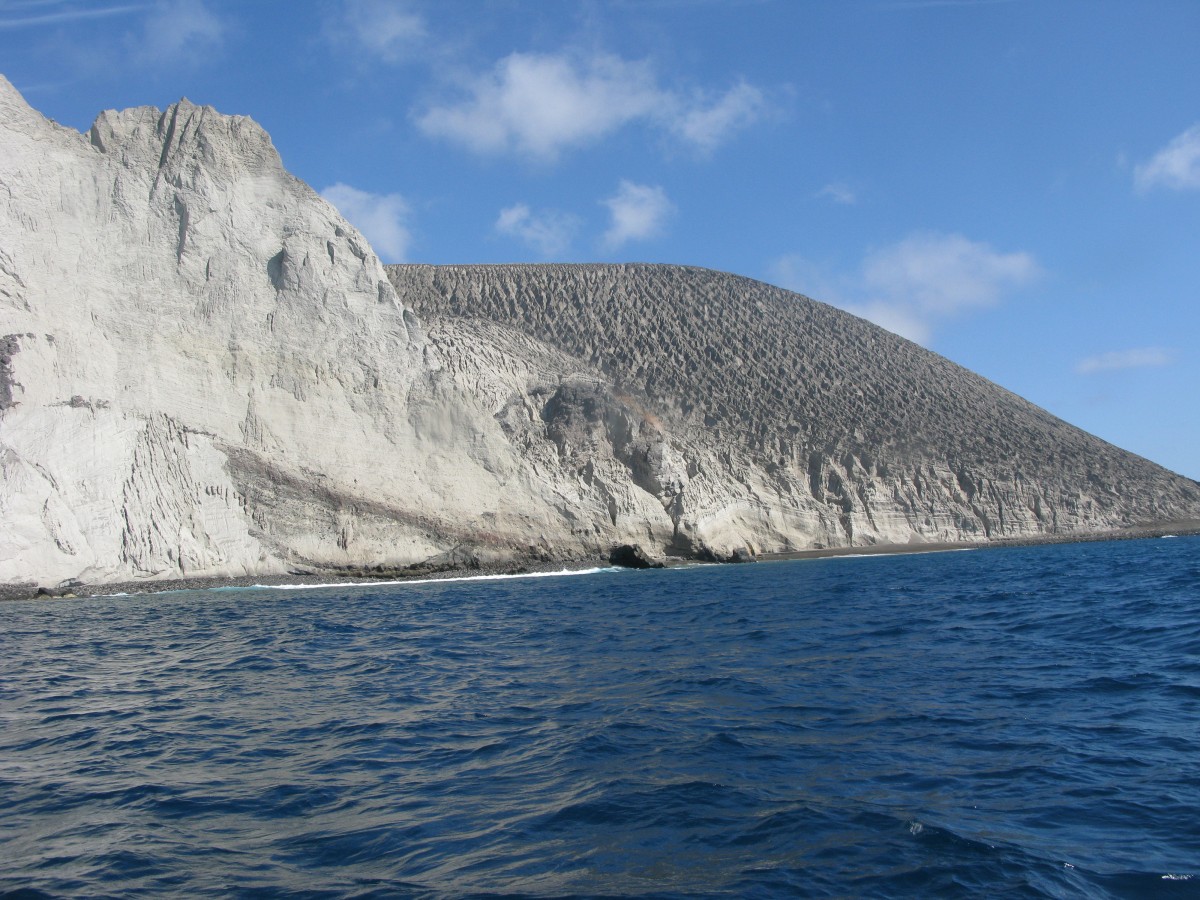 IMG_2464.jpg