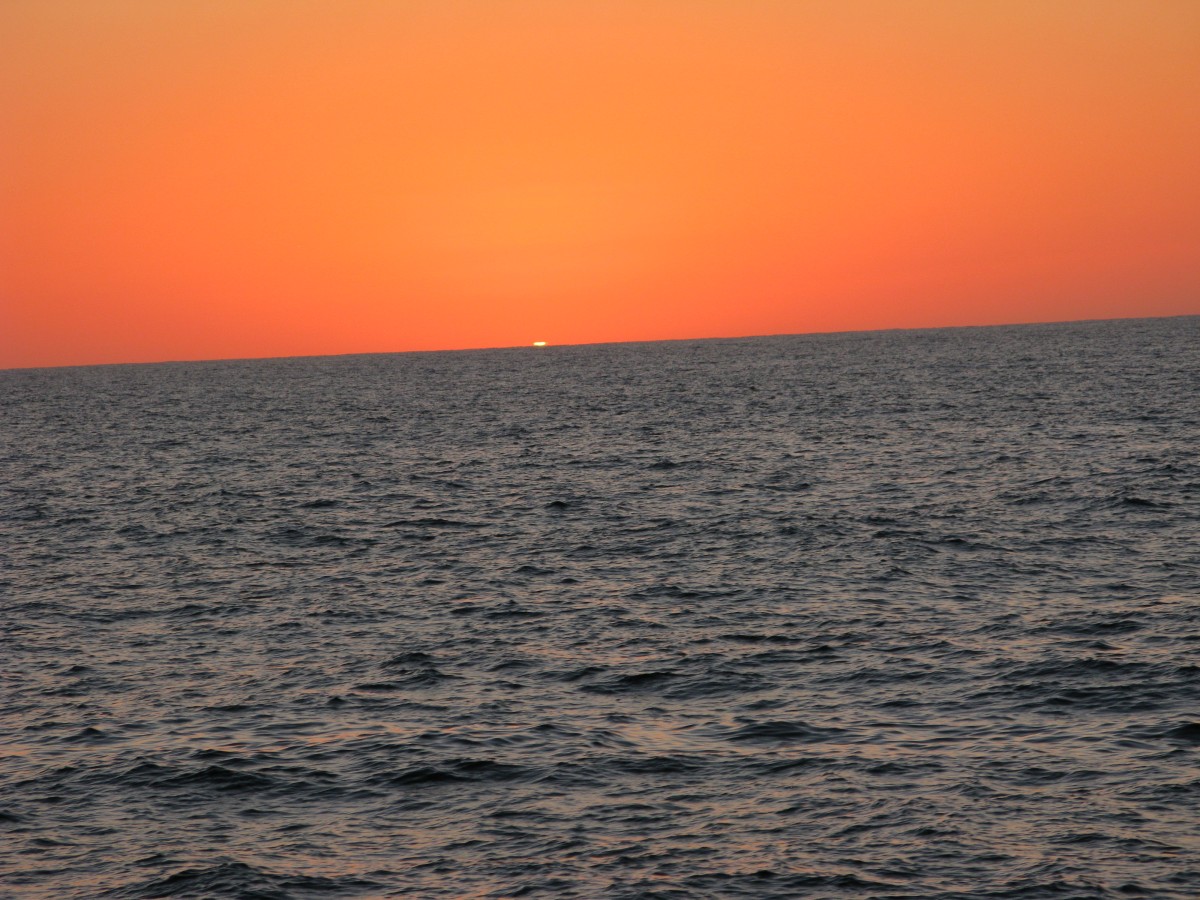 IMG_2524.jpg