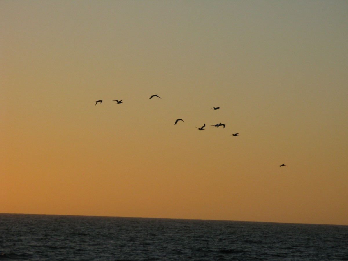 IMG_2772.jpg