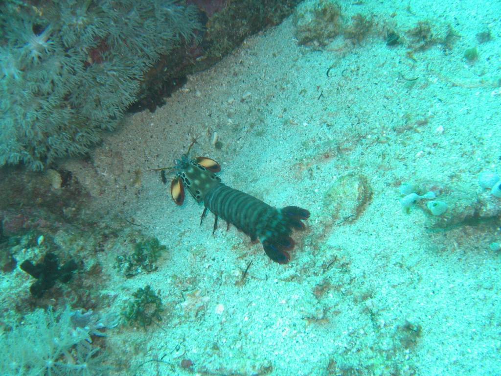 IMG_2867.JPG
