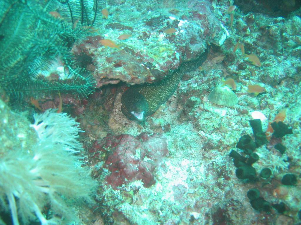 IMG_2873.JPG