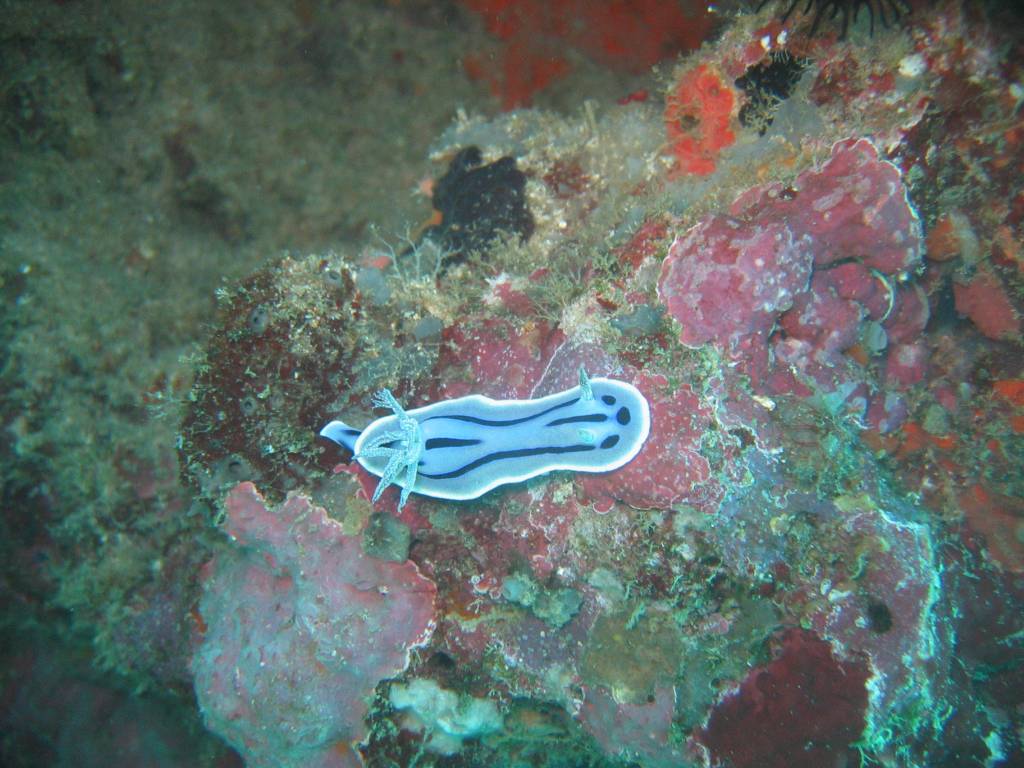 IMG_2886.JPG