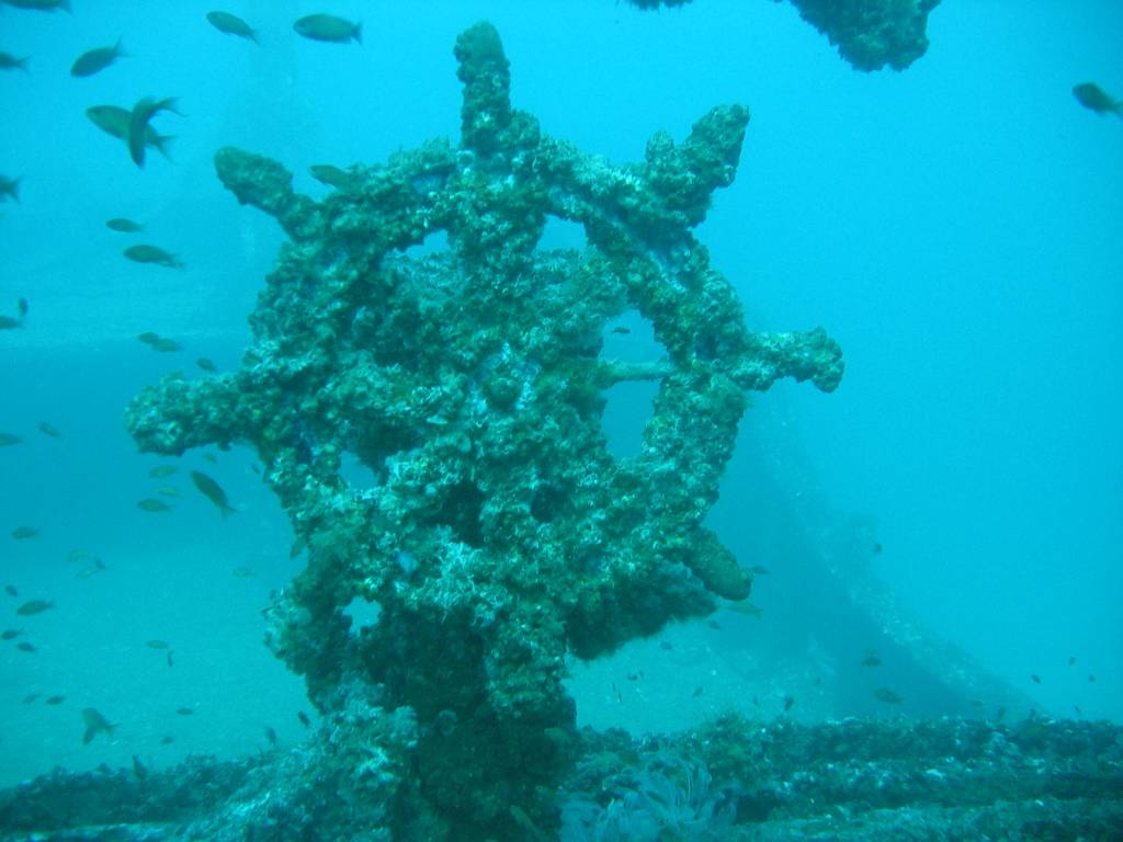 IMG_2903.jpg