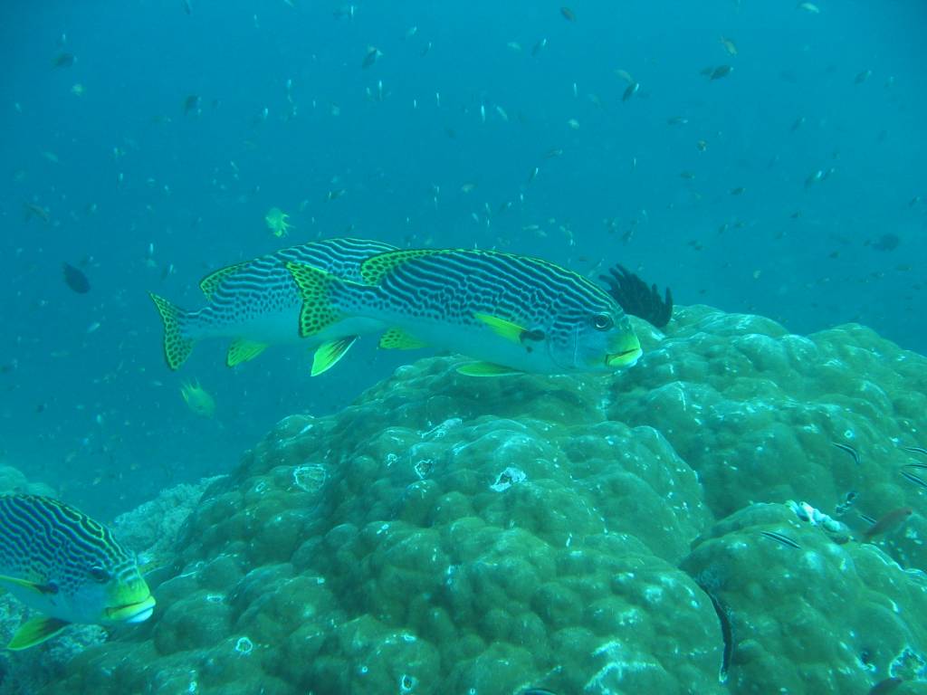 IMG_2930.jpg