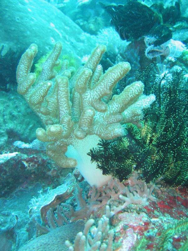 IMG_3075.JPG