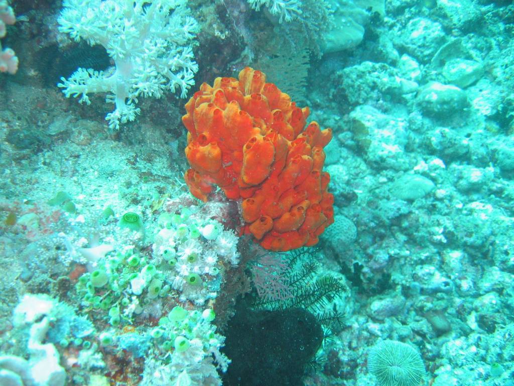 IMG_3088.JPG