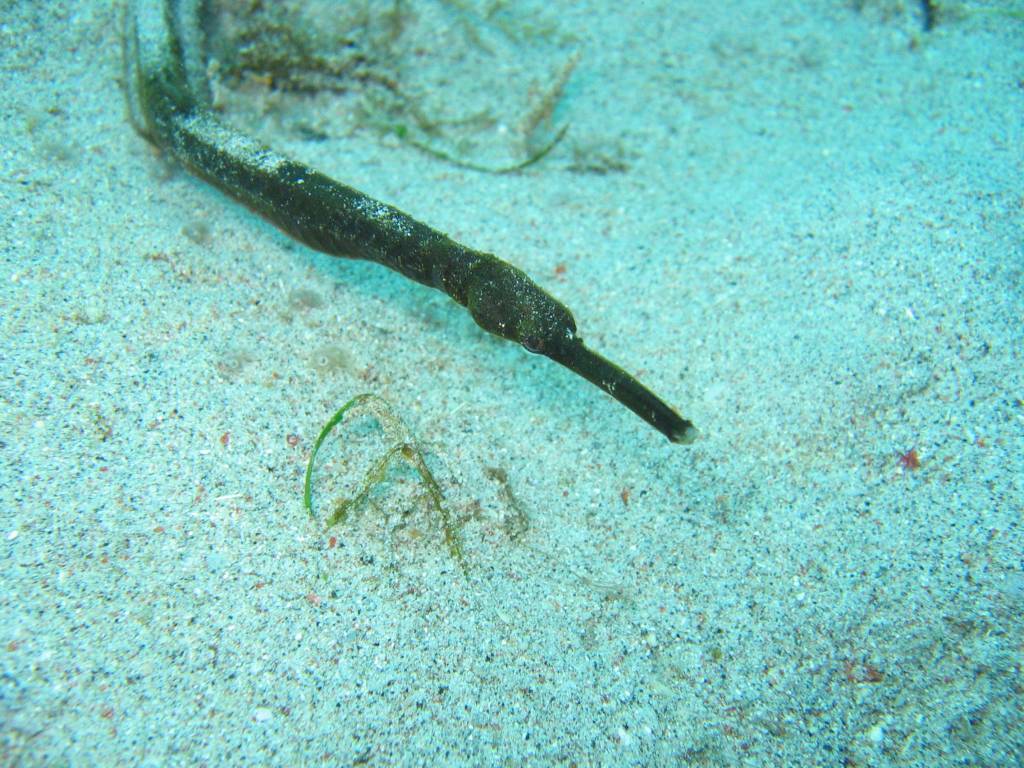IMG_3224.JPG