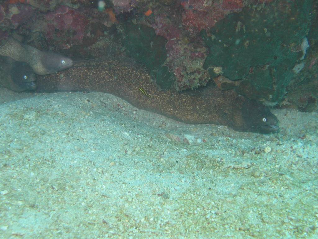 IMG_3226.JPG