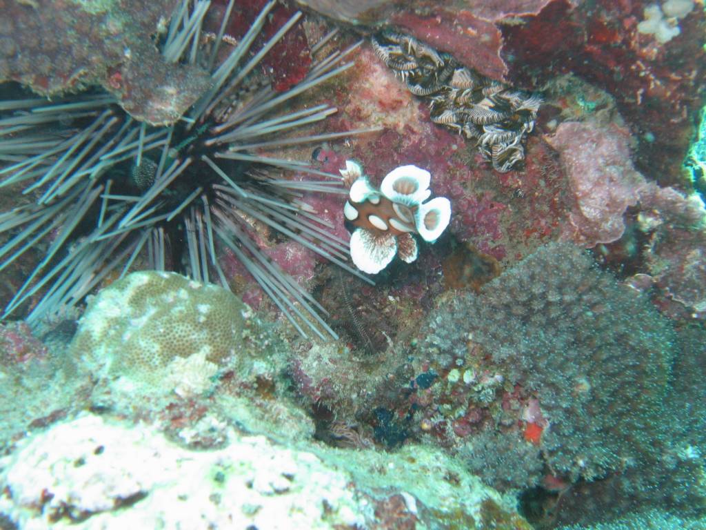 IMG_3230.JPG