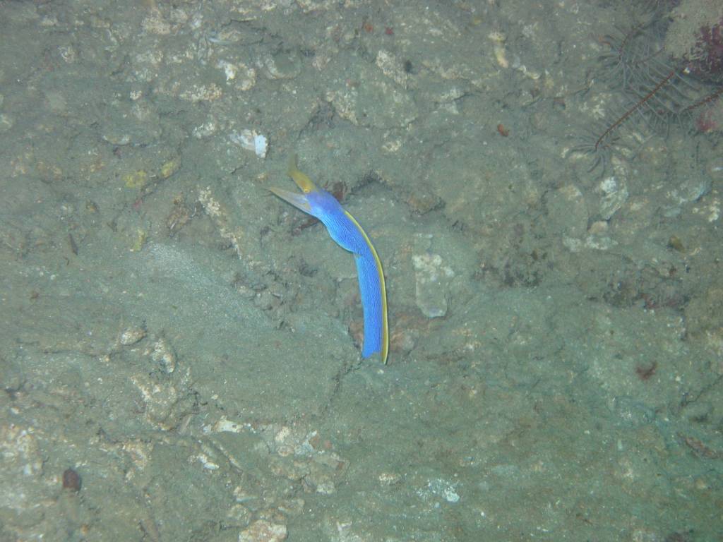 IMG_3271.JPG