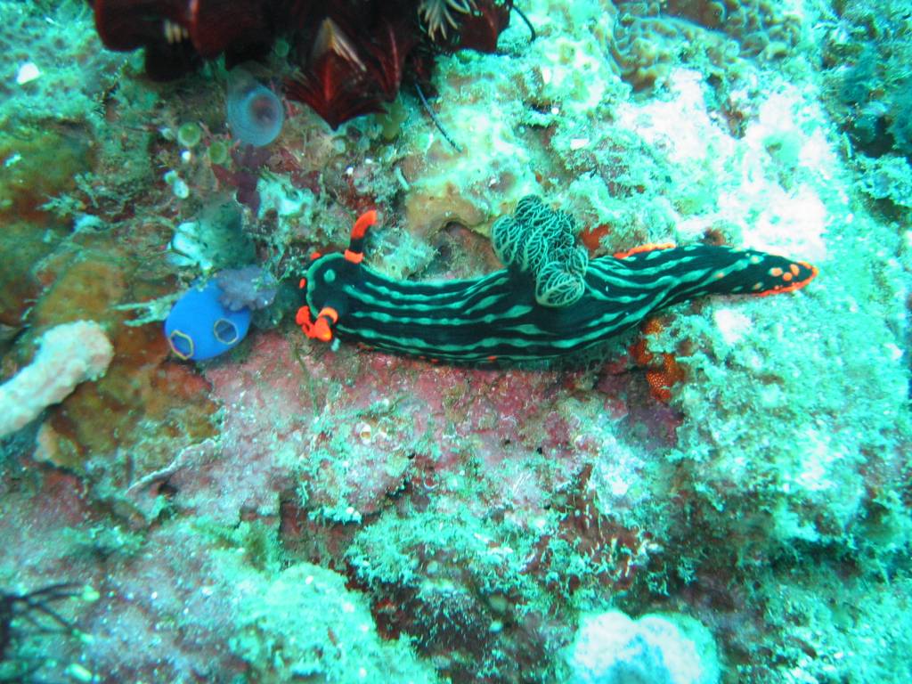 IMG_3291.JPG