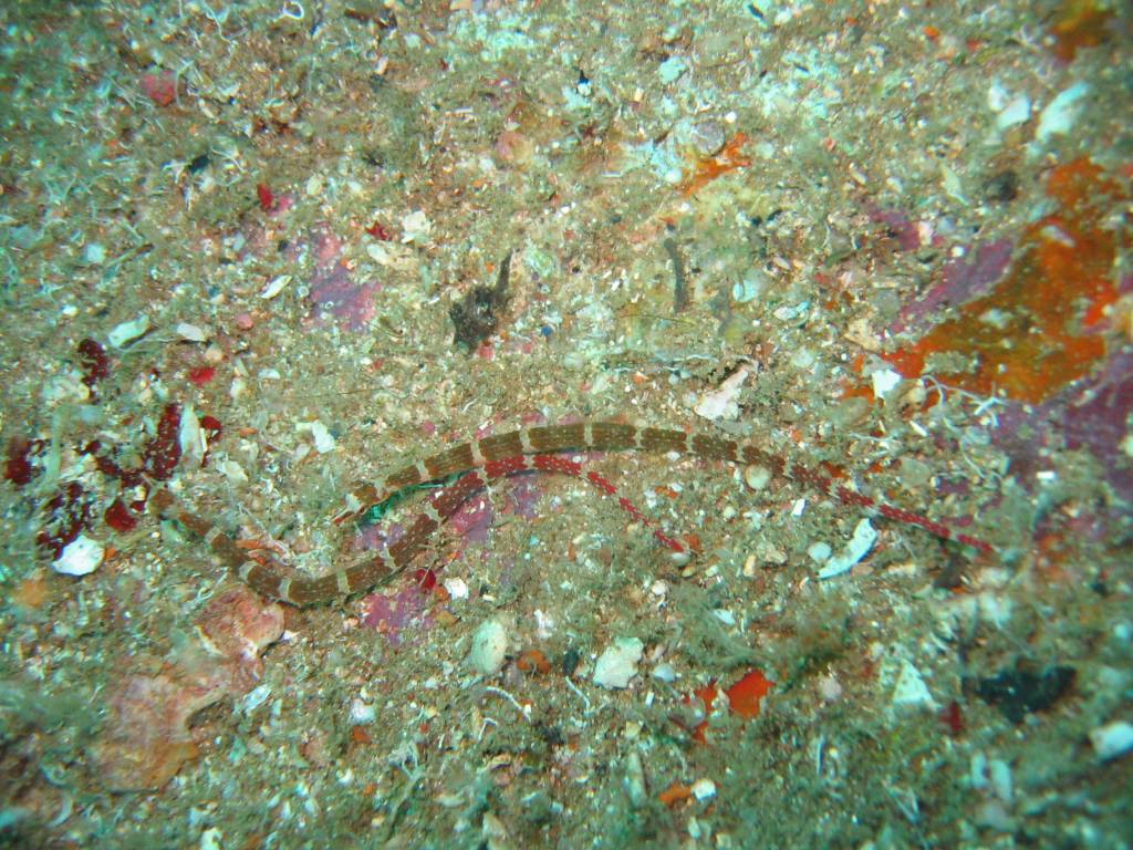 IMG_3397.JPG
