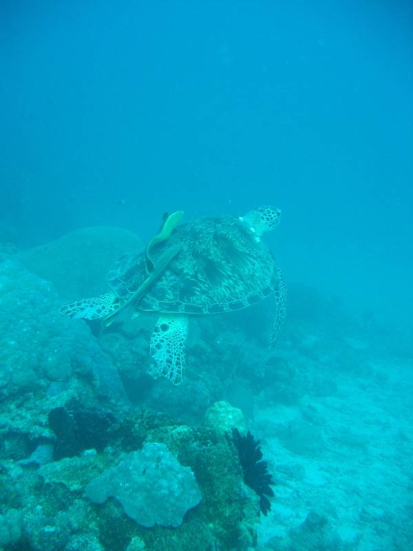 IMG_3525.jpg