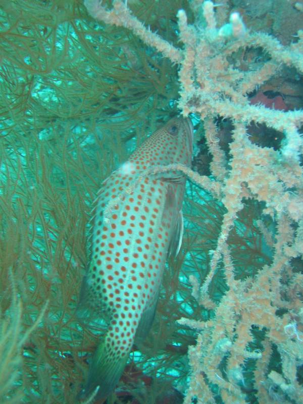 IMG_3588.jpg