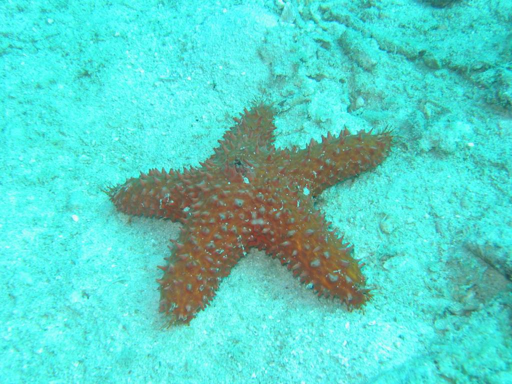 IMG_3695.JPG