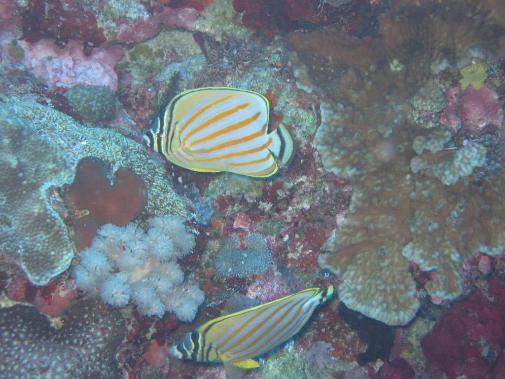 IMG_3987.jpg